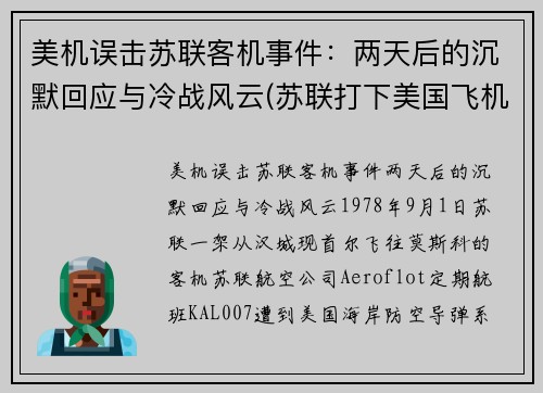 美机误击苏联客机事件：两天后的沉默回应与冷战风云(苏联打下美国飞机u2)